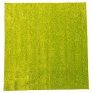 Covor monocrom – Verde 2 x 2 m imagine