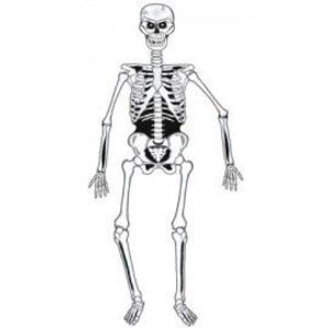 Decor schelet imagine
