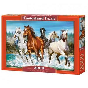 Puzzle 2000 Pcs - Castorland, 7Toys imagine