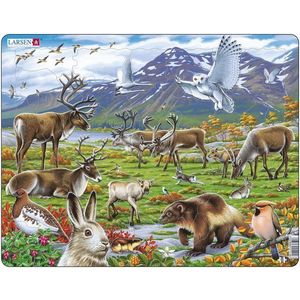 Puzzle 50 piese - Maxi - Flora and Fauna of the Arctic Tundra | Larsen imagine