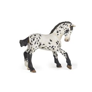 Figurina - Black appaloosa foal | Papo imagine