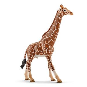 Figurina - Wild Life - Girafa, Mascul | Schleich imagine