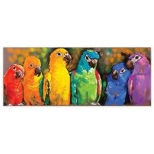 Puzzle 1000 piese Papagali curcubeu imagine