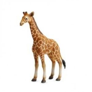 Figurina Pui de Girafa L Collecta imagine