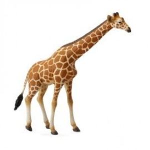 Figurina Girafa XL Collecta imagine