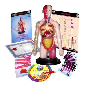 Kit educational mulaj Corpul uman si sistemul digestiv imagine