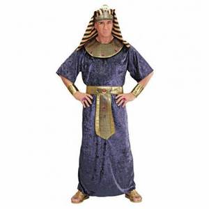 Costum faraon imagine