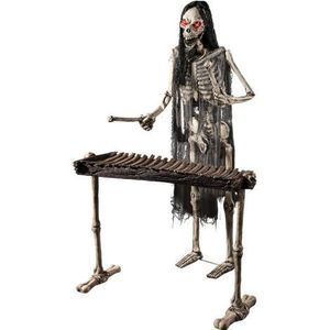 Decor schelet xilofon imagine