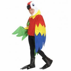 Costum papagal imagine