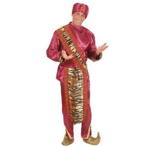 Costum maharaja imagine