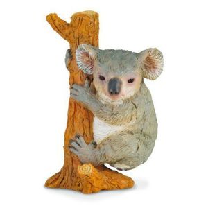 Koala - Collecta imagine