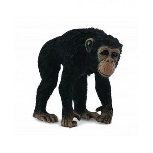 Cimpanzeu Femela - Collecta imagine