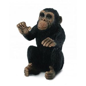 Cimpanzeu Pui - Collecta imagine