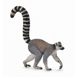 Lemur cu coada-inel - Collecta imagine