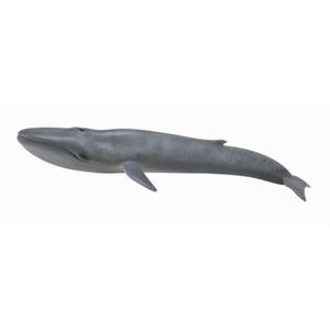 Balena Albastra - Collecta imagine