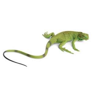 Figurina - Iguana Baby | Safari imagine