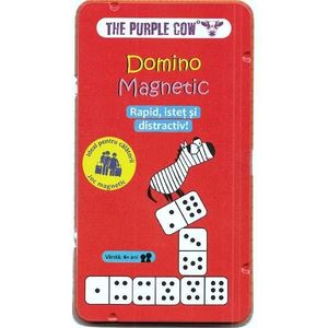 Joc magnetic: Domino imagine
