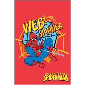 Covor copii Spiderman model 88423 160x230 cm Disney imagine