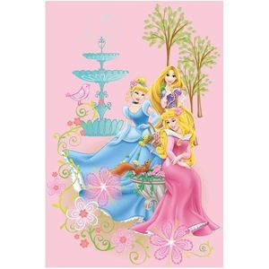 Covor copii Princess model 110 140x200 cm Disney imagine