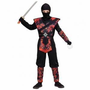Costum ninja dragon imagine