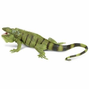 Figurina - Iguana | Safari imagine