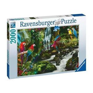 Puzzle Ravensburger - Papagali in jungla, 2000 piese imagine