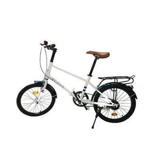 Bicicleta pentru copii cu portbagaj cadru metalic 20 inch imagine
