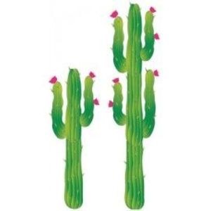 Decor cactus imagine