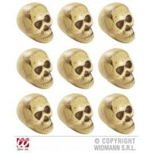 Set capete schelet imagine