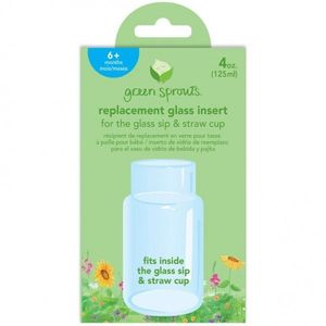 Rezerva sticla Green Sprouts iPlay pentru cana cu interior din sticla 125 ml imagine