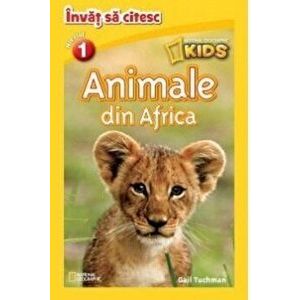 Animale din Africa. Nivelul 1 - *** imagine