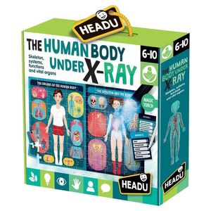 Puzzle STEM - An X-Ray of The Human Body | Headu imagine