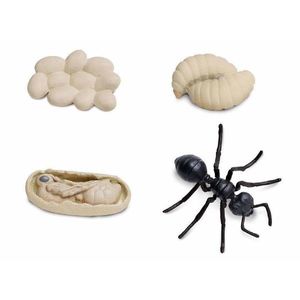 Set figurine - Ciclul vietii unei furnici | Safari imagine