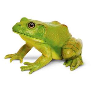 Figurina - American Bullfrog | Safari imagine