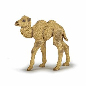 Figurina - Wild Animal Kingdom - Camel Calf | Papo imagine
