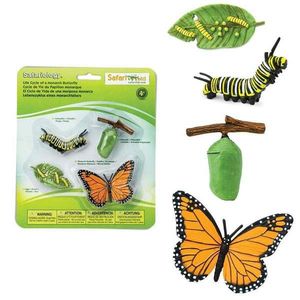 Jucarie educativa - Ciclul vietii la fluturele Monarh | Safari imagine