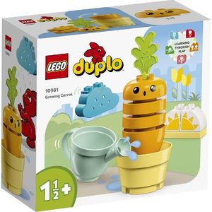 LEGO Duplo - Growing Carrot (10981) | LEGO imagine