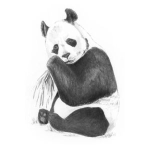 Crochiu incepatori-Panda 13x18 cm imagine