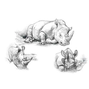 Set pentru realizarea unui desen in creion - Rinoceri imagine