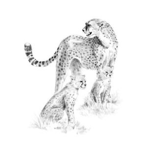 Crochiu incepatori-Cheetah cu pui 22x29 cm imagine