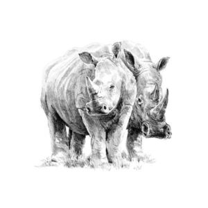 Crochiu incepatori-Rinoceri 22x29 cm imagine