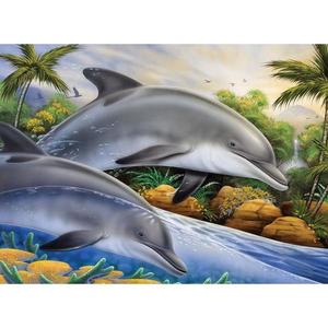 Prima pictura pe numere junior mare - Insula delfinilor imagine