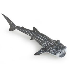 Rechinul balena imagine