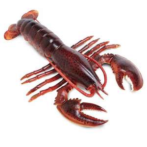 Figurina - Maine Lobster | Safari imagine
