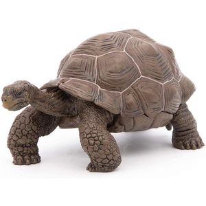 Figurina - Galapagos Tortoise | Papo imagine