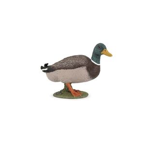 Figurina - Mallard Duck | Papo imagine