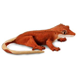 Figurina - Crested Gecko | Safari imagine