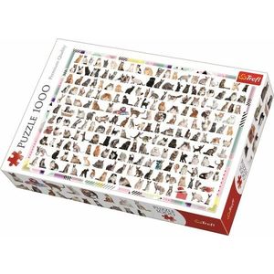 Puzzle 1000 piese - Pisici 208 la numar | Trefl imagine