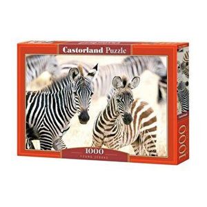 Puzzle Young Zebras, 1000 piese imagine