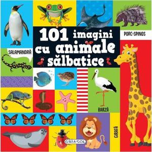 101 imagini cu animale salbatice imagine